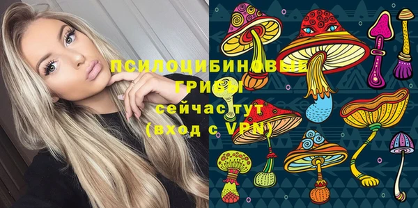 СК Балахна