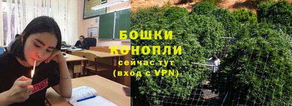 шишки Балабаново