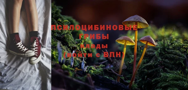 шишки Балабаново