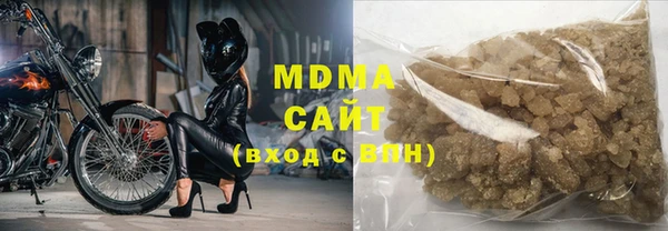 хмурый Арсеньев